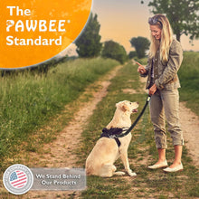 Load image into Gallery viewer, 2 Pack Dog Elastic Seat Belt