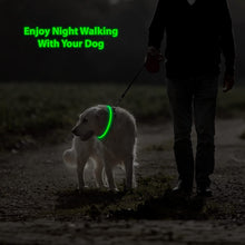 Load image into Gallery viewer, LED Dog Collar