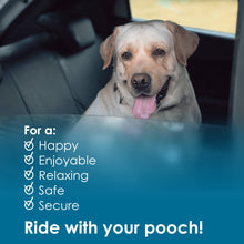 Load image into Gallery viewer, 2 Pack Dog Seat Belt