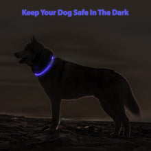 Load image into Gallery viewer, LED Dog Collar