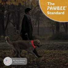 Load image into Gallery viewer, LED Dog Collar