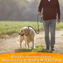 Load image into Gallery viewer, Dog Slip Rope Leash