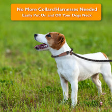 Load image into Gallery viewer, Dog Slip Rope Leash