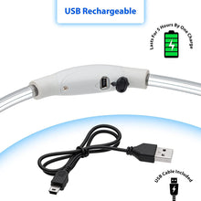 Load image into Gallery viewer, LED Dog Collar