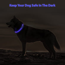 Load image into Gallery viewer, LED Dog Collar
